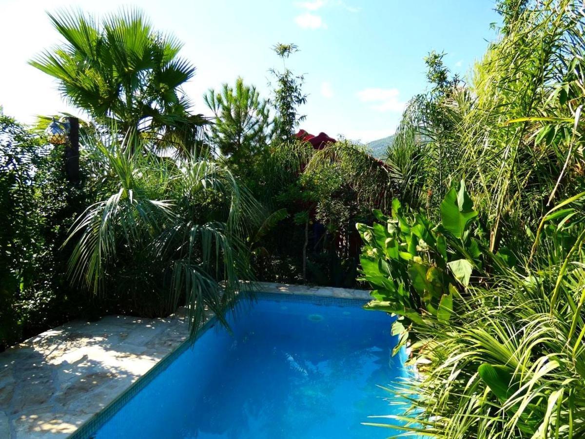 Villa Tropica, Total Privacy, Tropical Garden And Private Pool Kaštela Zewnętrze zdjęcie