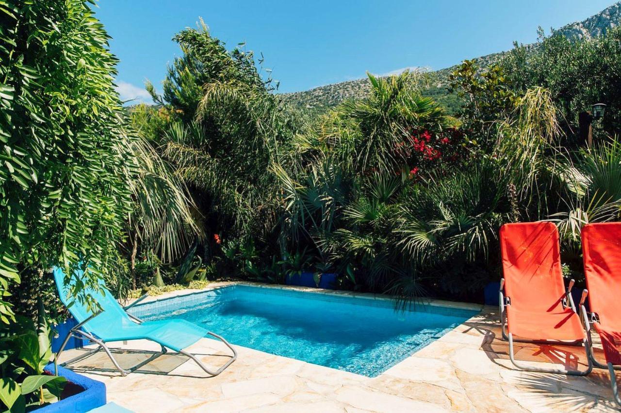 Villa Tropica, Total Privacy, Tropical Garden And Private Pool Kaštela Zewnętrze zdjęcie